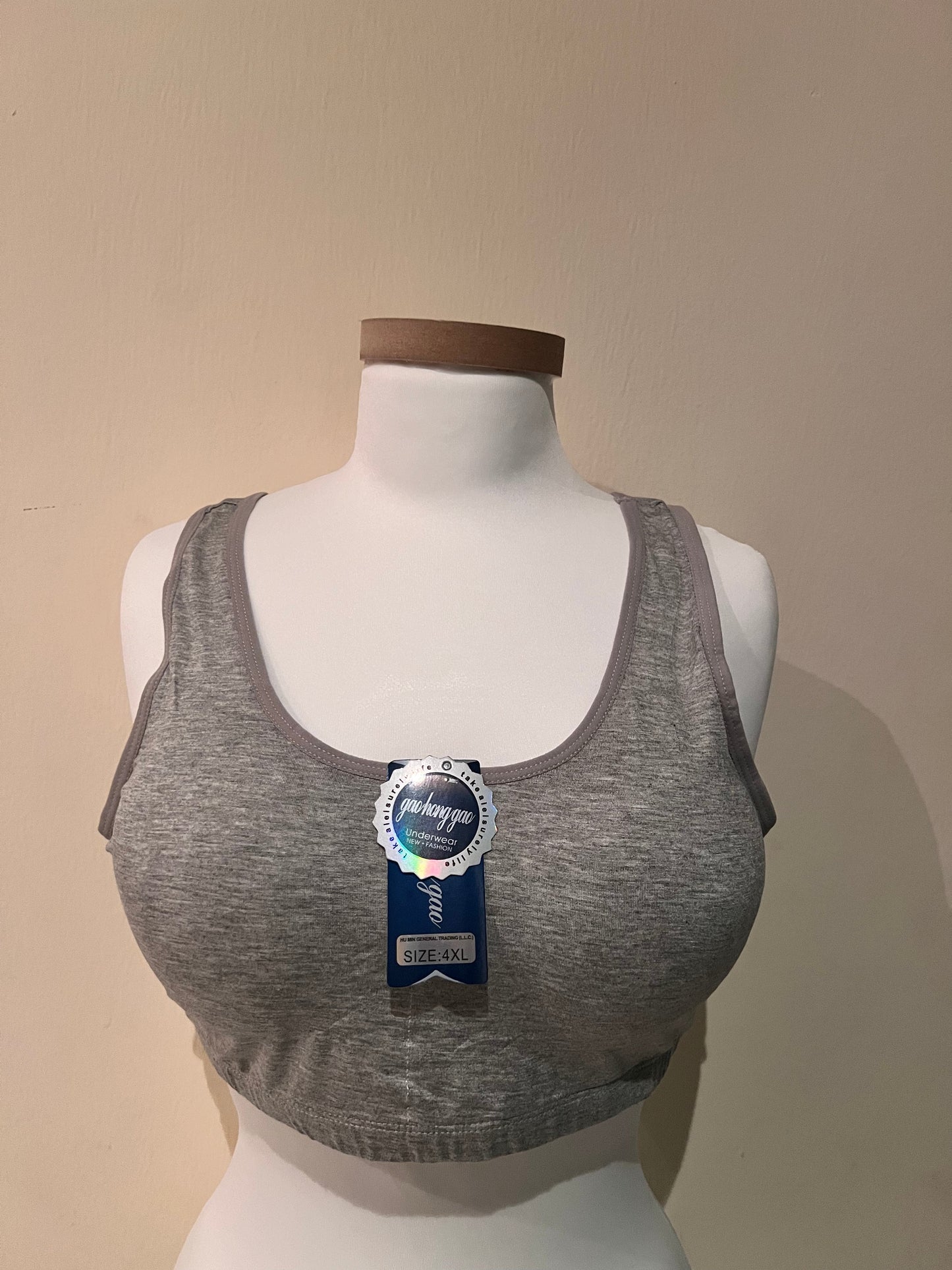 Bra Tops for Regular Sizes